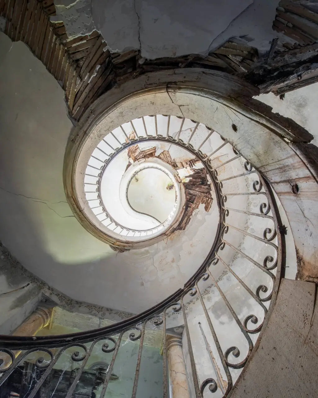 Nicola Bertellotti, Spirale bianca, scala elicoidale in interno abbandonato con struttura in ferro e segni di deterioramento